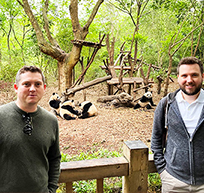 Besuch der Panda-Zuchtstation in Chengdu